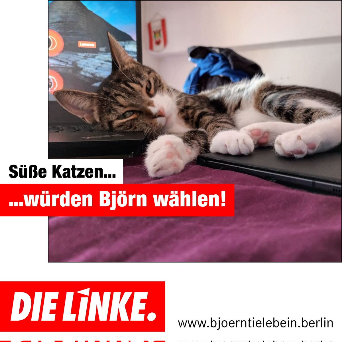 BjoernTie's tweet photo. Am 26. September 2021 alle Stimmen für eine starke LINKE im Bezirk, in #Berlin und im Bund! Deine Abgeordnetenhaus-Erststimme für einen solidarischen Kandidaten für den Marzahner Norden!

#mahe #marzahn #solidaritaet #bjoerndirekt https://t.co/7T3mHphQl7