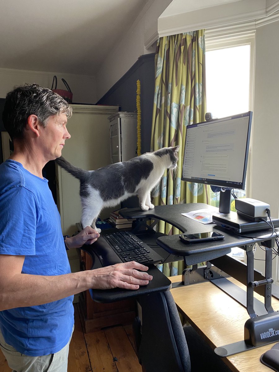 VanessaLangers's tweet photo. #Workingfronhome just taken a ludicrous new turn โฆ #Catsoftwitter #takingittoofar #standingdesk https://t.co/1HroL4gN7x