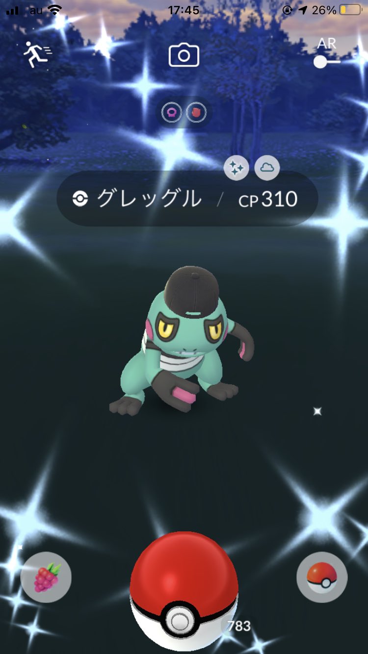 色違いヤンヤンマ Twitter Search Twitter