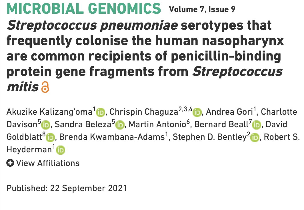 Dr Akuzike Kalizangoma, PhD (@akalizangoma) on Twitter photo Are commensal Streptococci friend or foe?
Here is our story of how Pneumococcal AMR has evolved among global carriage serotypes through interspecies horizontal genetic transfer.
doi.org/10.1099/mgen.0……
<a href="/MicrobioSoc/">Microbiology Society</a>
<a href="/NIHR_MPRU/">MPRU</a>
<a href="/pneumowatch/">GlobalPneumoSeq</a>
<a href="/UCLInfectImm/">UCL Division of Infection & Immunity</a> Are commensal Streptococci friend or foe?
Here is our story of how Pneumococcal AMR has evolved among global carriage serotypes through interspecies horizontal genetic transfer.
doi.org/10.1099/mgen.0……
<a href="/MicrobioSoc/">Microbiology Society</a>
<a href="/NIHR_MPRU/">MPRU</a>
<a href="/pneumowatch/">GlobalPneumoSeq</a>
<a href="/UCLInfectImm/">UCL Division of Infection & Immunity</a>