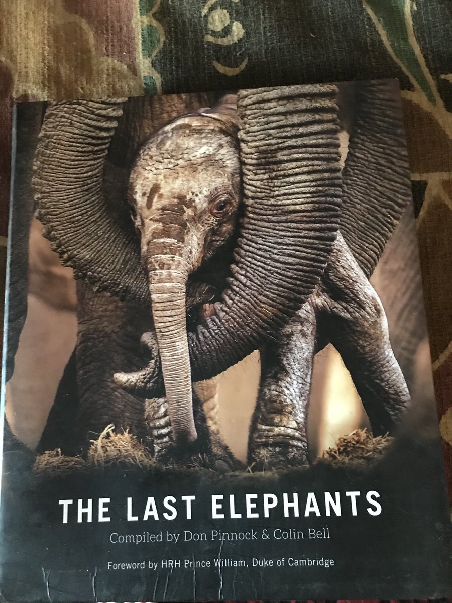 elisetempelhoff's tweet photo. Yes #TheLastElephants @jenpoetess #DonPinnock and #CollinBell https://t.co/XyviBzLZmD