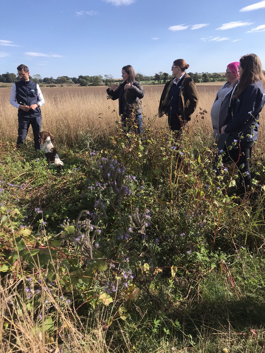Examination of <a href="/farmer_just/">Just A Farmer</a>’s field margins. Mix of clover, phacelia, vetch and trefoil amongst others. Interesting to see this environmental measure and discuss the benefits and savings associated with removing a non-productive area from arable production. <a href="/NFUStweets/">NFU Scotland</a> 🌱
