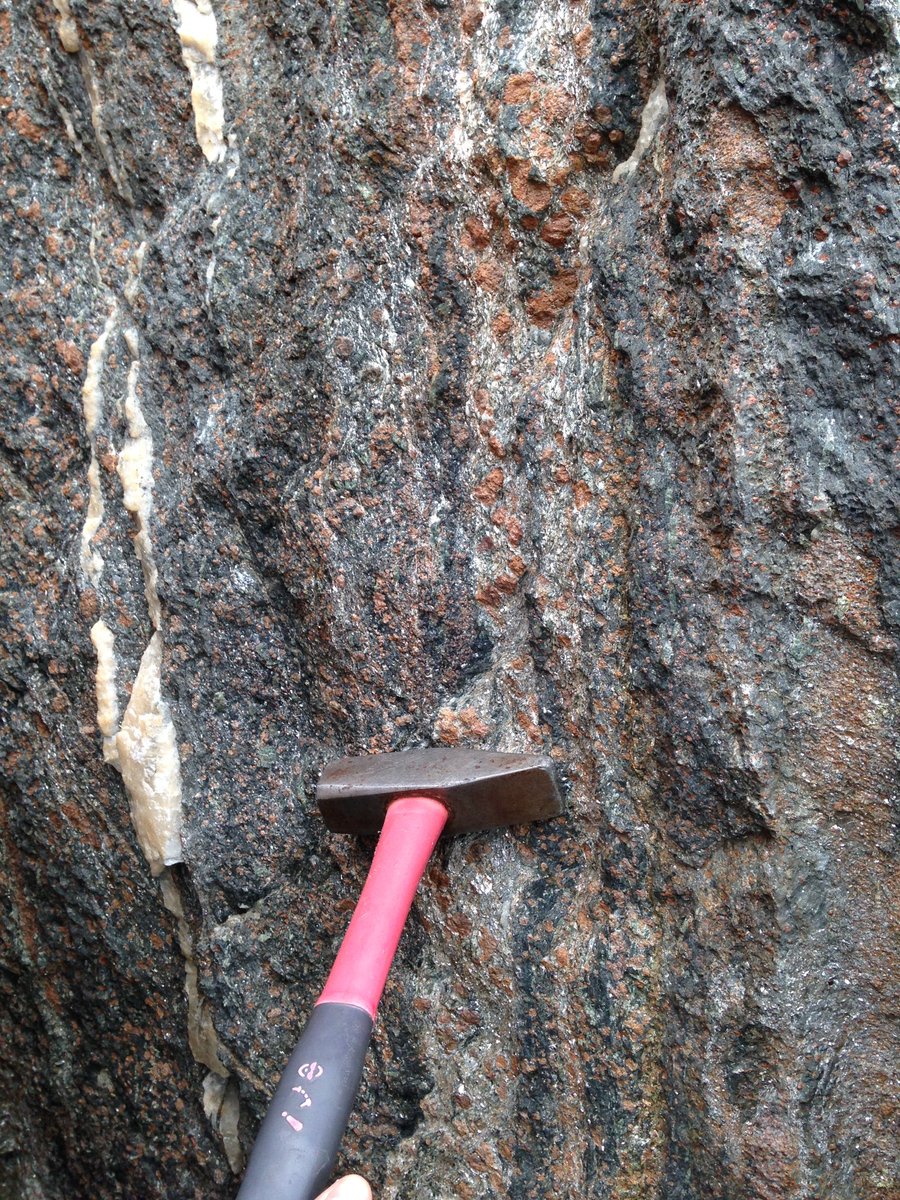 🤩🤩Classy, elegant, and colourful! This #FieldWorkFriday is #eclogite, somewhere in the famous 🇮🇹#SesiaLanzo zone. 
🎙If you love HP rocks tune-in and listen to a recent #GneissChats episode with Dr Chapel from <a href="/litholab_une/">LLUNE</a> on HP rocks.   

🎧🎧travelinggeologist.com/podcast/hp/