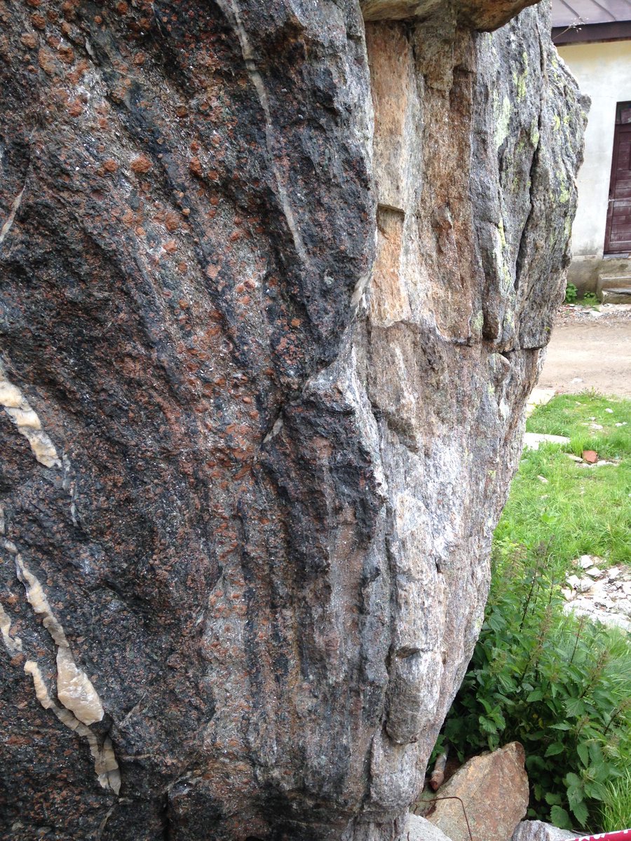 Silvia Volante tweet media