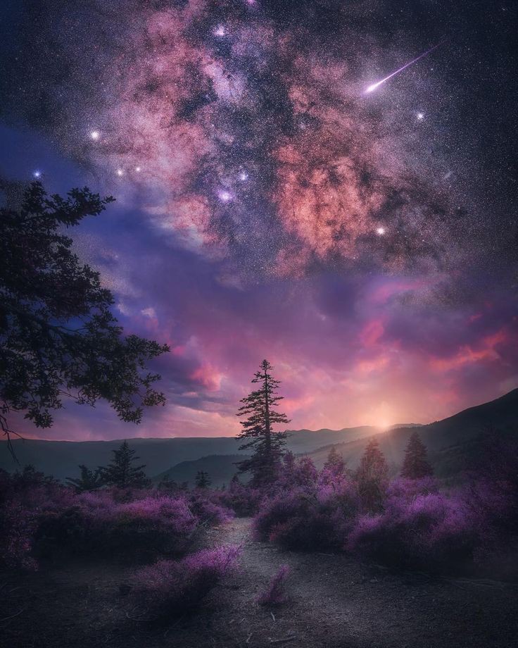 JohnBrindha's tweet photo. #Plexure star's
Wink the sky's eye
Attractive glow
From scattered
Crystal board's far

Ship's can sail
And yachts can
Reach this insoluble
Print of peace &amp; tall
#BraveWrite https://t.co/uFSe99h6eY