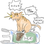 足裏の感触によって？猫がトイレと間違える事故が起きる!