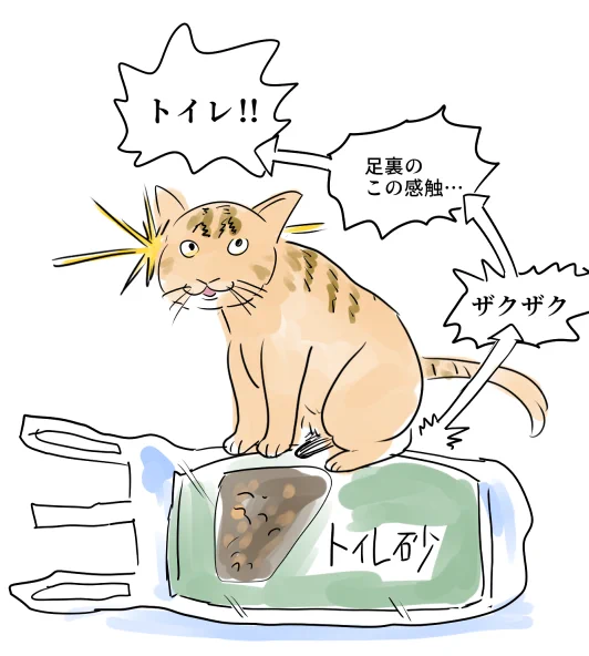 足裏の感触によって？猫がトイレと間違える事故が起きるwww