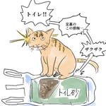 足裏の感触によって？猫がトイレと間違える事故が起きる!