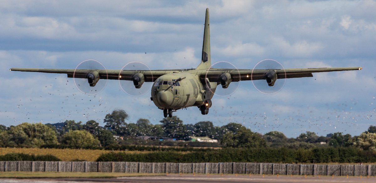 Callsign_Kodak's tweet photo. Bird-strike much?

@RoyalAirForce, @LockheedMartin, C-130J, ZH875 coming into @RAFBrizeNorton with a flock of birds dispersing in the distance behind her...

She had just finished some low-flying across LFA's 4, 8 and 11...

@MarshallADG https://t.co/LkfM6t7jUq