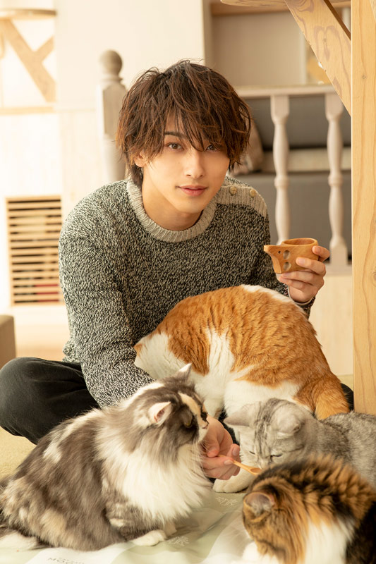 Oricon News オリコンニュース 横浜流星 もふもふ猫に囲まれ柔らかい笑顔 撮り下ろし収録の写真集 パーソナルブックがランキング1位 2位 ほか全8枚 T Co 65xtn8xxht 横浜流星 流跡 流々自適 T Co Ysl1bsw84w Twitter