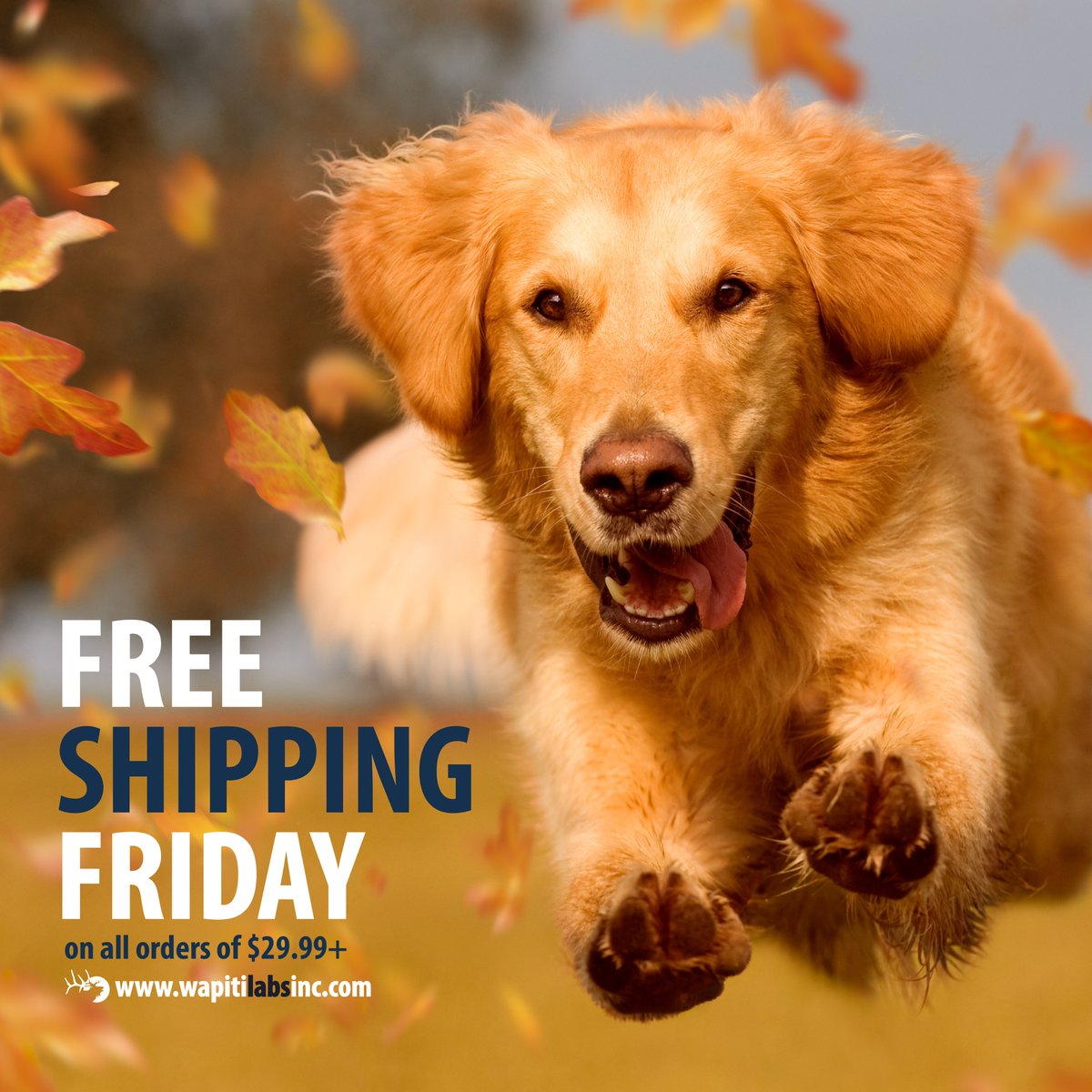 WapitiLabs's tweet photo. It is FREE Shipping Friday! Place your order today September 24th through Sunday September 26th and get FREE Shipping on all orders of $29+ at https://t.co/3hgcOyO2Ym

#freeshippingfriday #wapitilabs #dogs #cats https://t.co/ohwywFwPOT