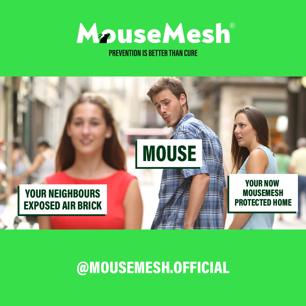 MouseMesh tweet media