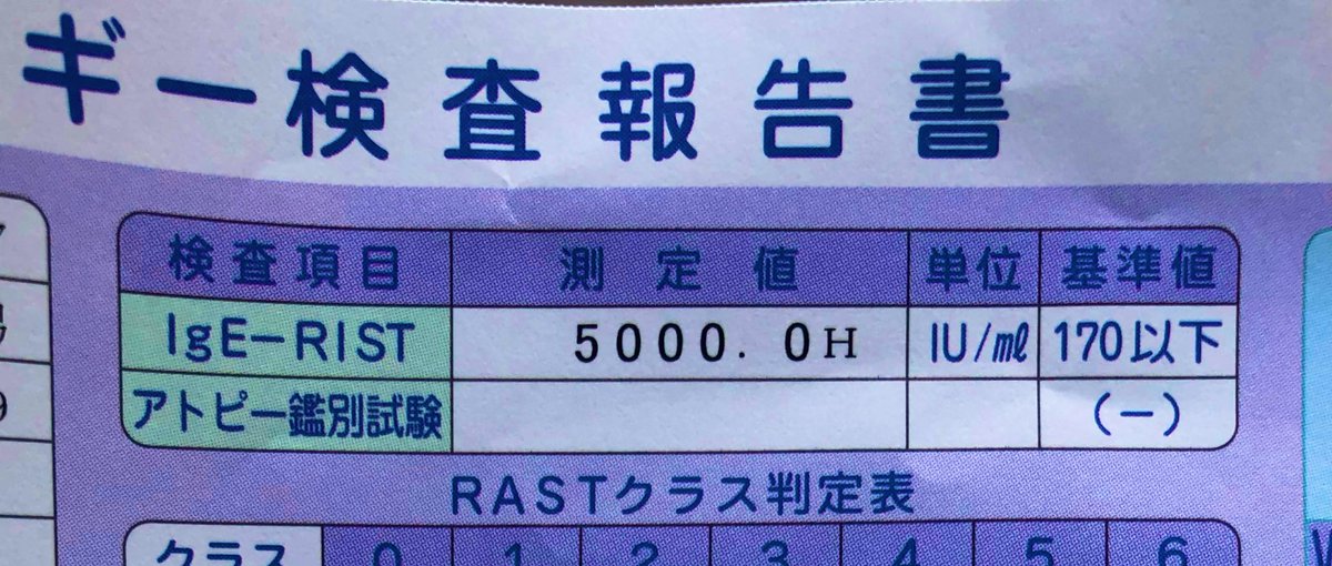 chibishuttle's tweet photo. やっとなんすけど
12歳で15000だったアレルギー数値が17年の歳月を経て3分の１の5000まで下がりました(基準値170やからまだ常人の30倍はあるけど💢)
米中心のキモ生活終了！！！！！！！！普通にほぼほぼ何でも食べます！！！！！！人とご飯食べれる生活復活！！！！！！ https://t.co/99I95XGsQx