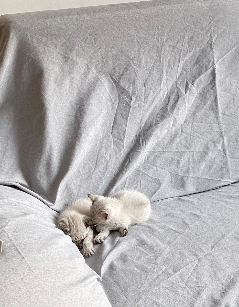 annflxke's tweet photo. pero si solo han pasado 5 meses :( https://t.co/rN8CjeBaPy