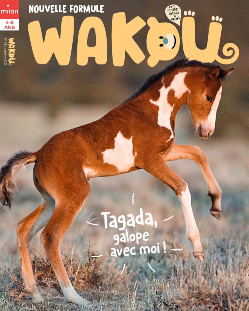 En octobre, les grands espaces s’ouvrent à vous. Galopez dans l’Ouest américain ou lézardez au soleil dans la savane...

wakou-magazine.com/sommaires/taga…