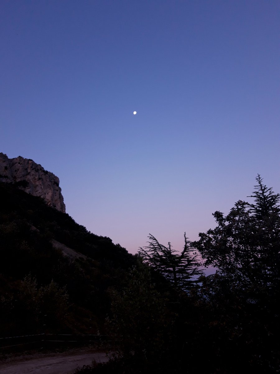 Gabriel Meffre tweet media