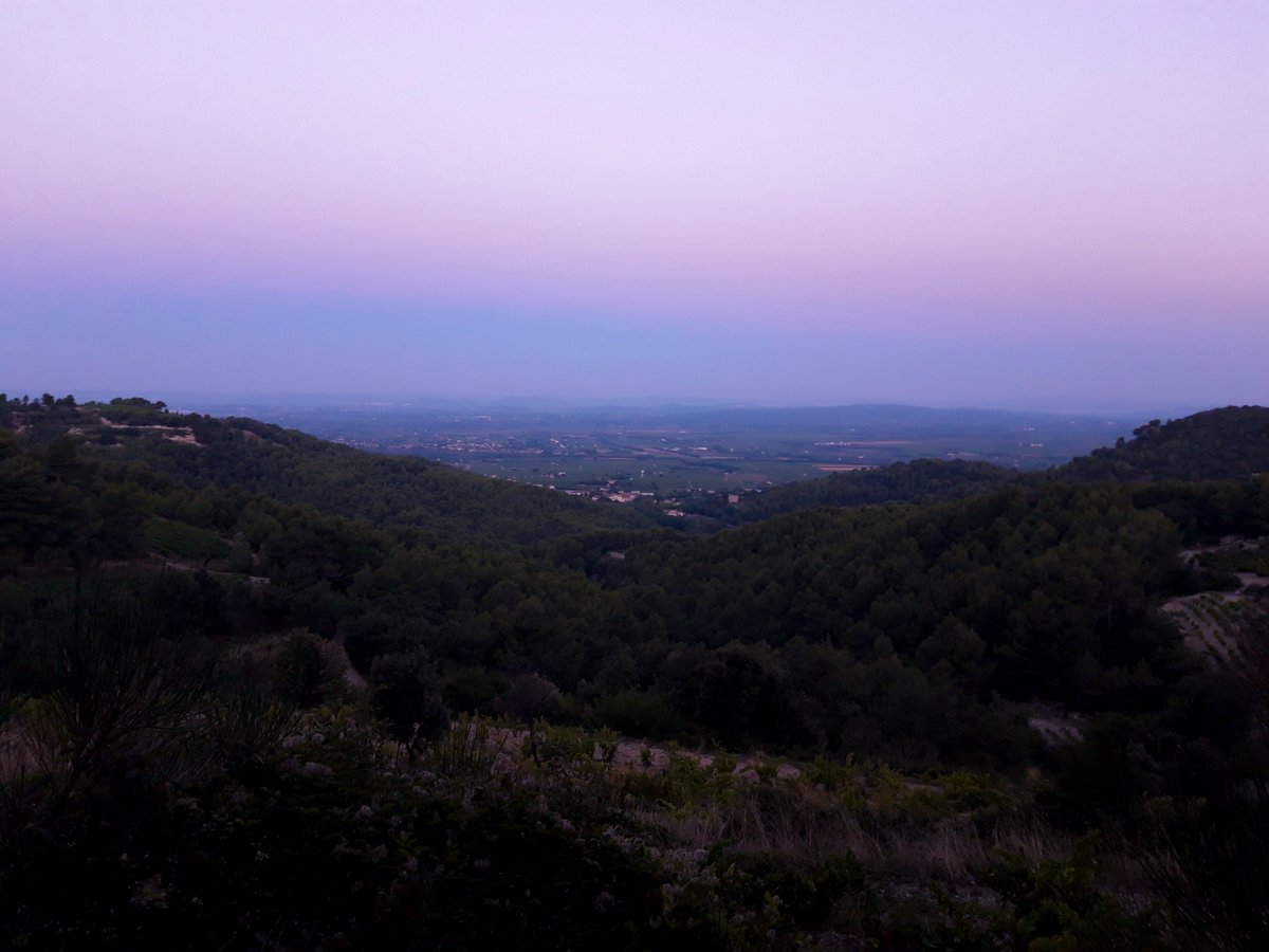 Gabriel Meffre tweet media