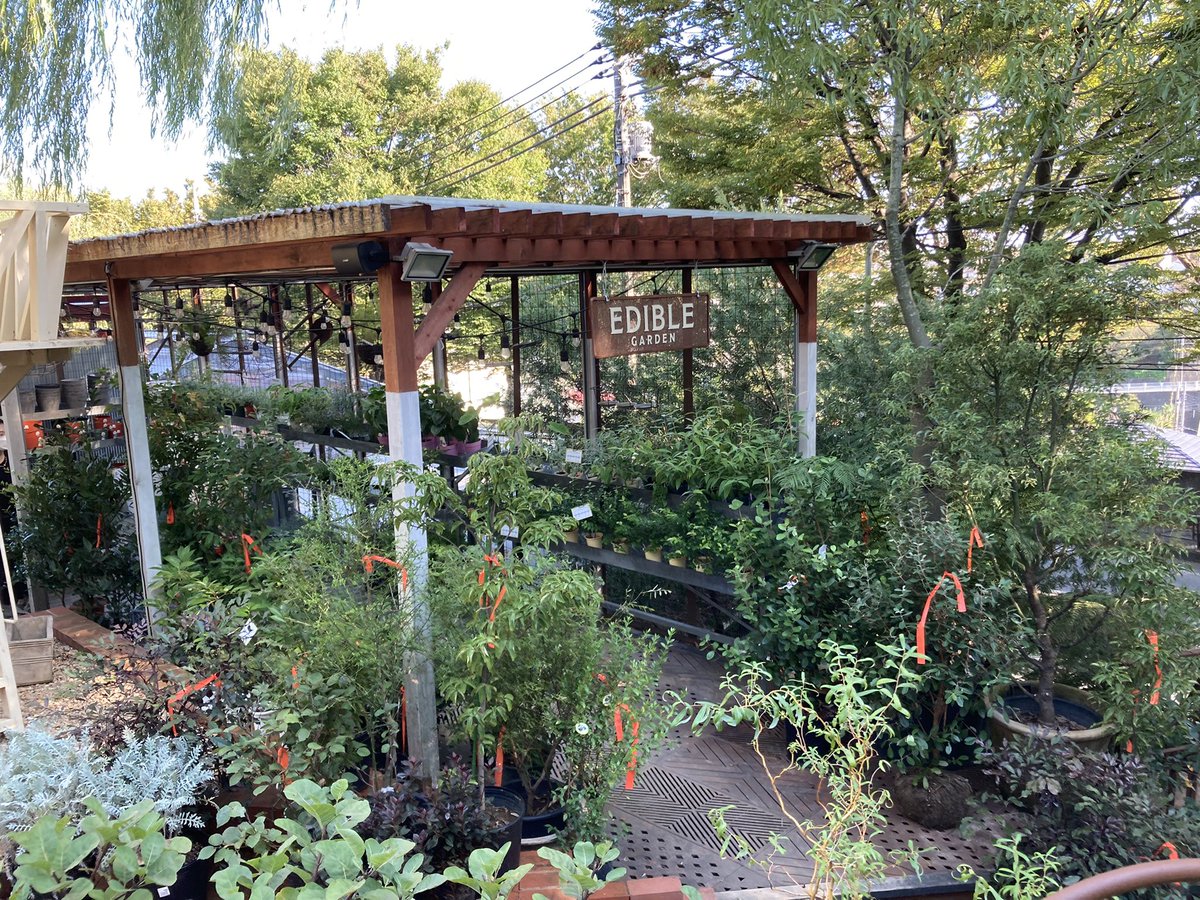 1247BEAT's tweet photo. 宮前区野川にあるSOLSO FARM
植物好きなら行ったほうが��い https://t.co/A8U7wB9tW7