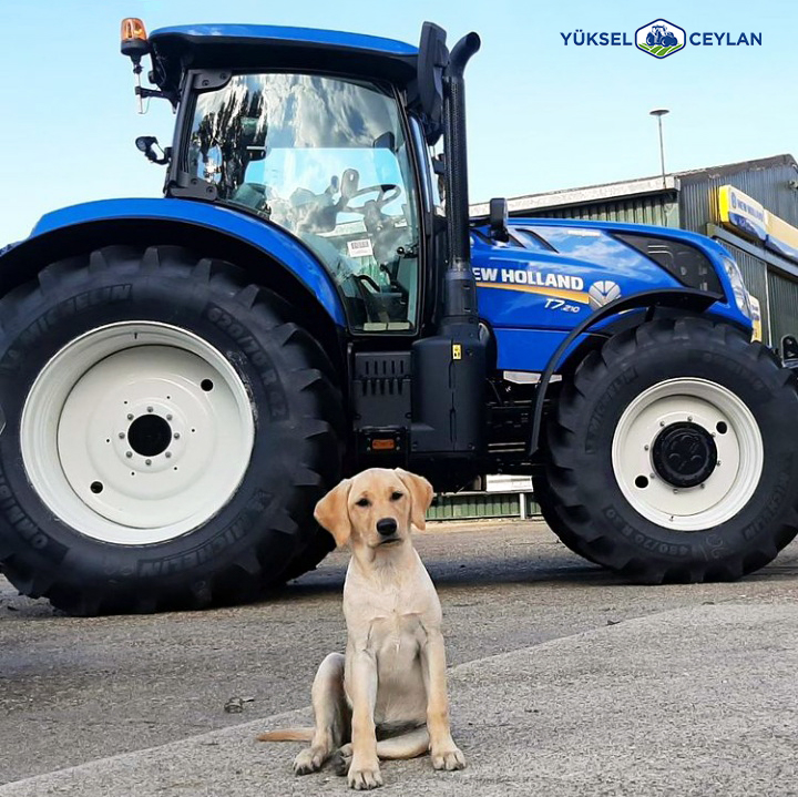 YC_traktor's tweet photo. YÜKSEL CEYLAN A.Ş.
📞 0376 212 07 43
🚩 Çankırı - Çorum - Kastamonu - Ankara
-
-
-
#traktor #kastamonu #çorum #ankara #çankırı #Türktraktör #balyamakinesi #gelecekbiziz #koç #fiattrattori #newholland #newhollandtractor #trattori #tractor #tractors #combine #caseih https://t.co/SBhXBmUXtM