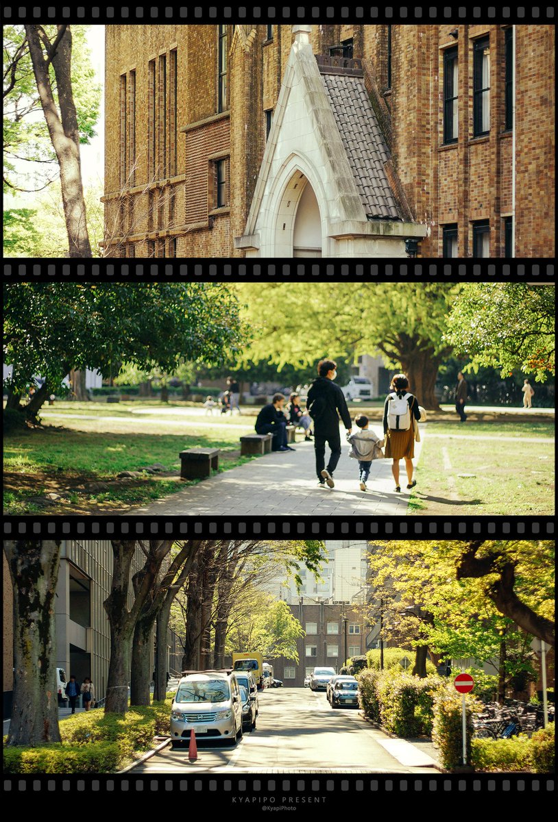 KyapiPhoto's tweet image. Tokyo cinematics ~4

#cinematics
#photography
#PhotographyIsArt
#写真好きな人と繫がりたい
#写真撮ってる人と繋がりたい
#写真で伝える私の世界
#ファインダー越しの私の世界