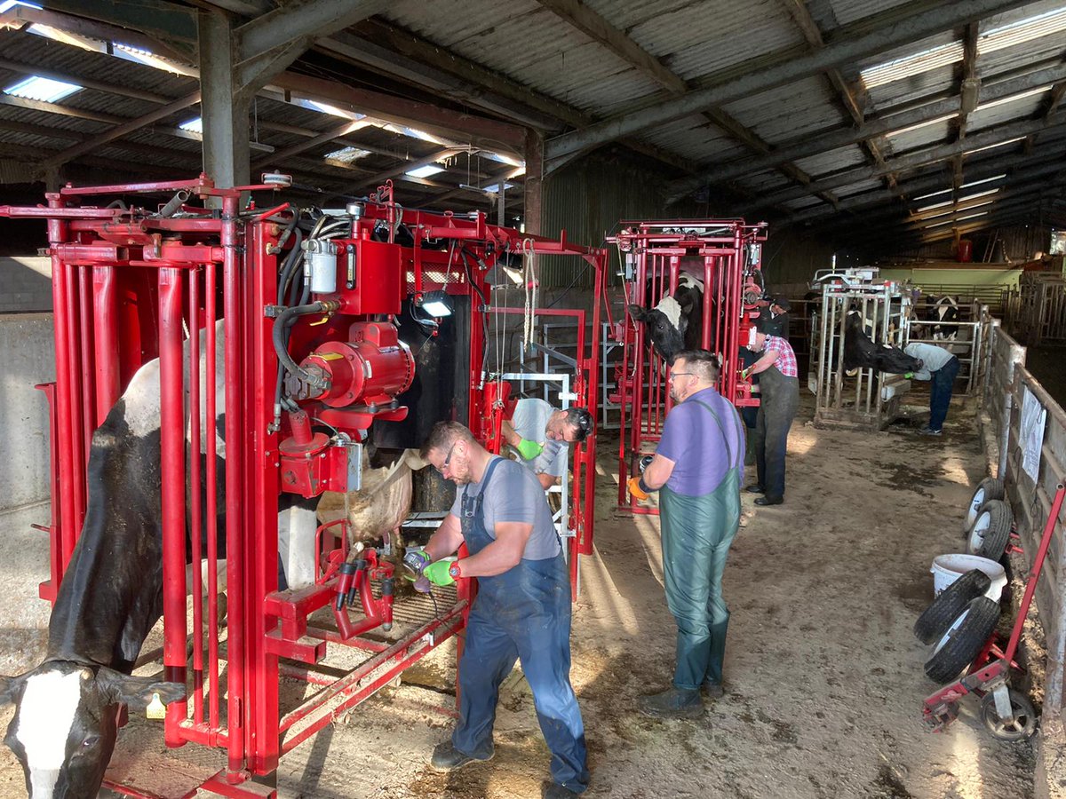 Nantwich Farm Vets tweet media
