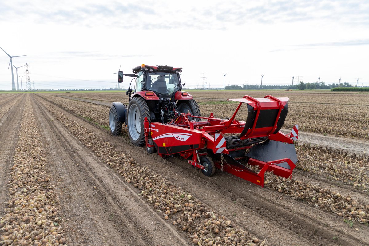 GRIMMEGroup's tweet photo. Today we will show you some impressions of our #RowShow2021 with the WV 205. π§
#GRIMME #onion #harvest https://t.co/JYB9hhA10v