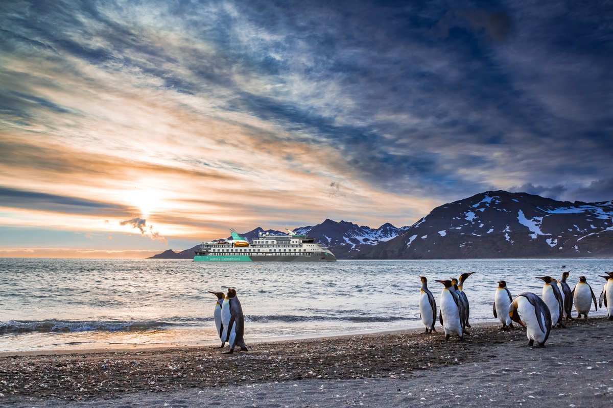 ae_expeditions's tweet photo. Our newest ship, Sylvia Earle, joins the fleet in 2022. Our second Ulstein X-Bow® vessel, she features a two-level glass atrium offering unrivalled views which is also home to our dedicated Citizen Science Centre 🔽 #CLIACruiseWeek #ExploreEndlessly #AuroraExpeditions https://t.co/HODLtDw0hL
