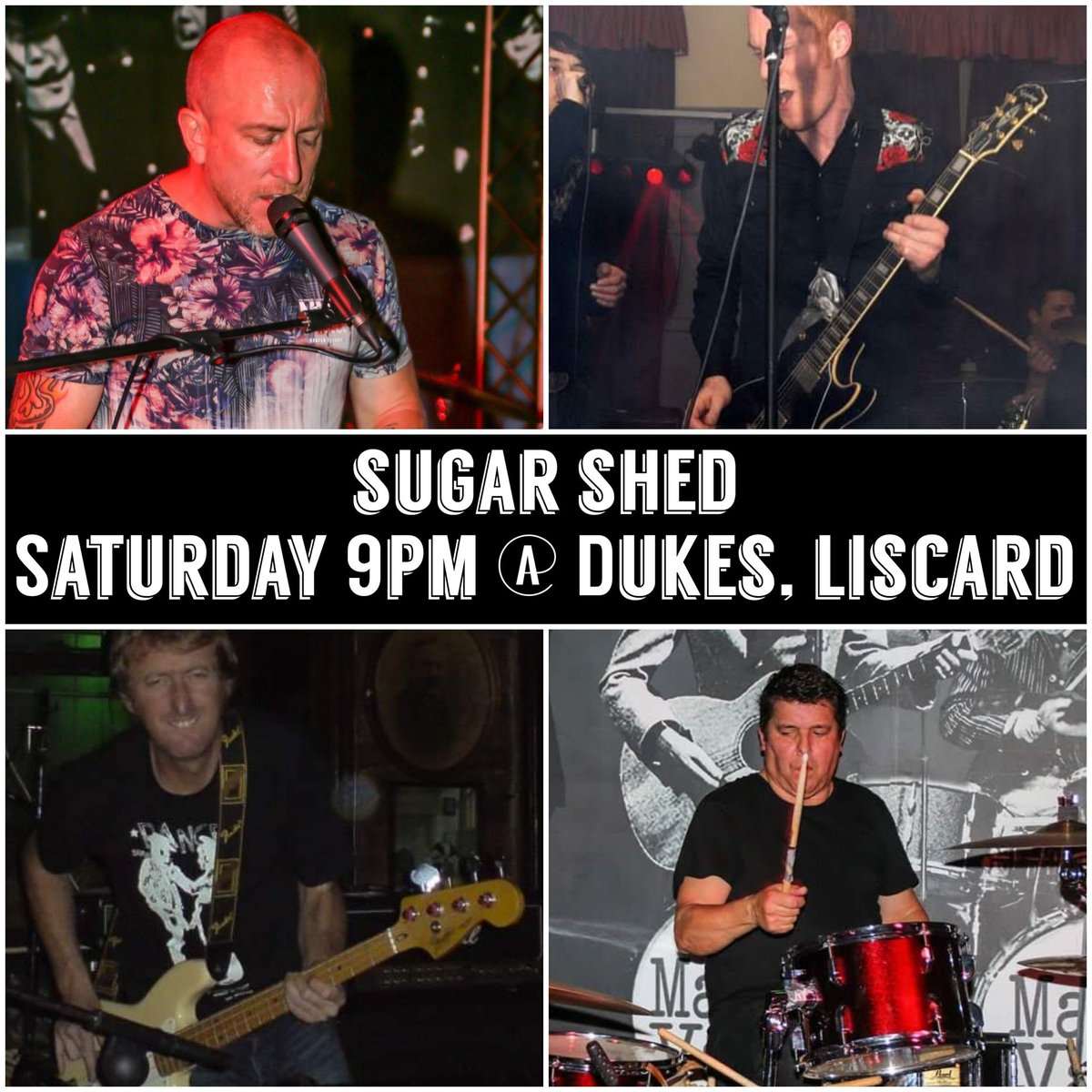 Sugar Shed tweet media