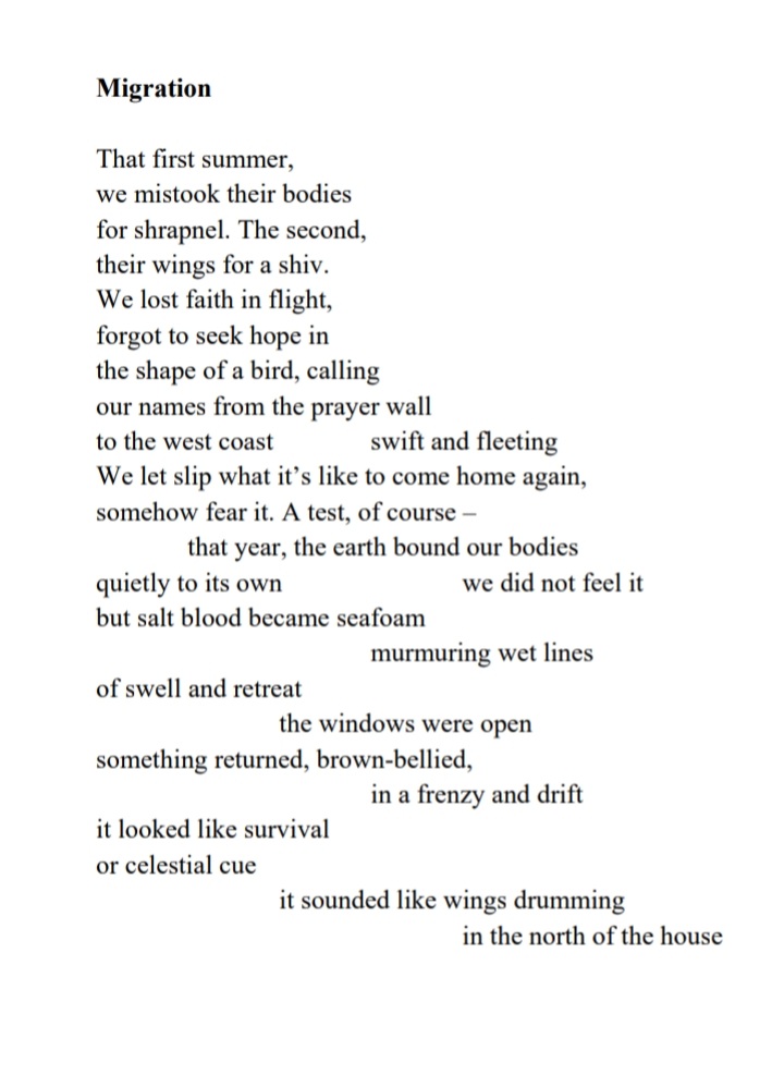 meadow_pipit's tweet image. My poetry pamphlet 'Of Algae &amp;amp; Grief' will be published in a few weeks and I'm feeling very shynervousexcited about it! Here's the final poem that I wrote for it 🕊 (sidenote: if you not into reading a LOT about birds and the sea then this collection is probably not for you xo)