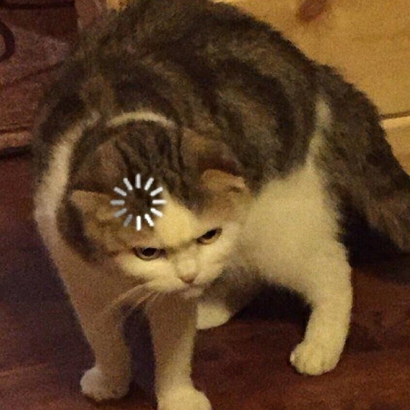 grignoris2's tweet image. #FotografieDeProfilNouă