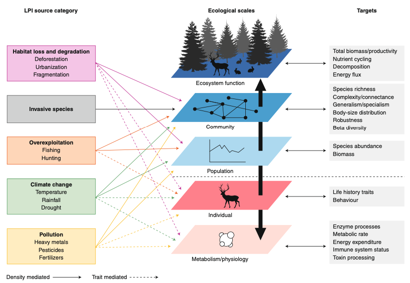 Chris Griffiths (@christophgriff5) on Twitter photo Superb work by <a href="/BennoSimmons/">Benno Simmons</a> and <a href="/beckerhopper/">Andrew Beckerman</a> on our new <a href="/NatureEcoEvo/">NatureEcoEvo</a> perspectives piece rdcu.be/cyjQK. We argue for an ecological scale-target-based classification of stressor effects in multiple stressor research. Key to predictability and generality @SheffieldAPS Superb work by <a href="/BennoSimmons/">Benno Simmons</a> and <a href="/beckerhopper/">Andrew Beckerman</a> on our new <a href="/NatureEcoEvo/">NatureEcoEvo</a> perspectives piece rdcu.be/cyjQK. We argue for an ecological scale-target-based classification of stressor effects in multiple stressor research. Key to predictability and generality @SheffieldAPS
