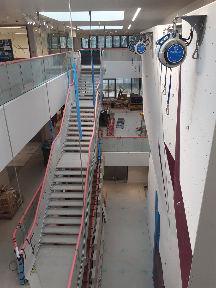 Neil Molloy tweet media