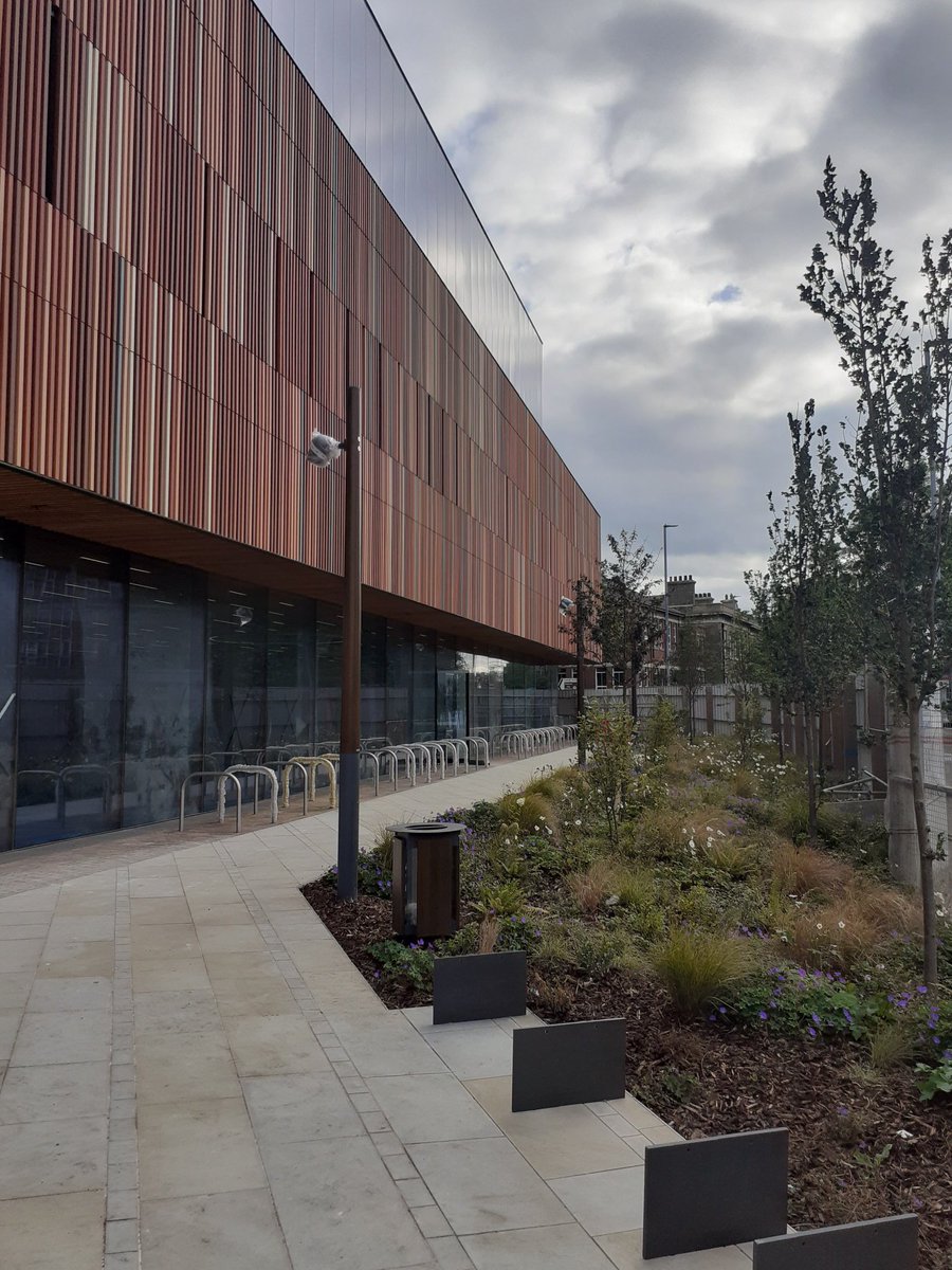 Neil Molloy tweet media