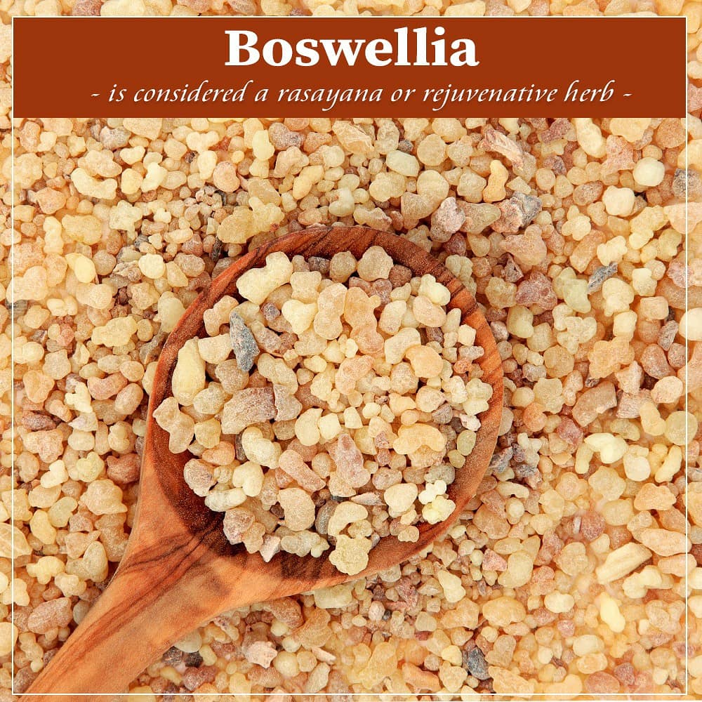 CureRoot's tweet photo. Ayurveda has used Boswellia extensively in the treatment of painful joint diseases and other inflammatory conditions. Boswellia is considered a rasayana or rejuvenative herb with bitter, pungent, astringent, and sweet tastes.
#Boswellia #BoswelliaBenefits #CureRoot https://t.co/3KT7CvbOrs
