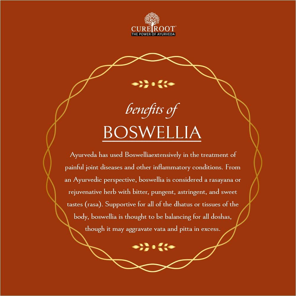 CureRoot's tweet photo. Ayurveda has used Boswellia extensively in the treatment of painful joint diseases and other inflammatory conditions. Boswellia is considered a rasayana or rejuvenative herb with bitter, pungent, astringent, and sweet tastes.
#Boswellia #BoswelliaBenefits #CureRoot https://t.co/3KT7CvbOrs