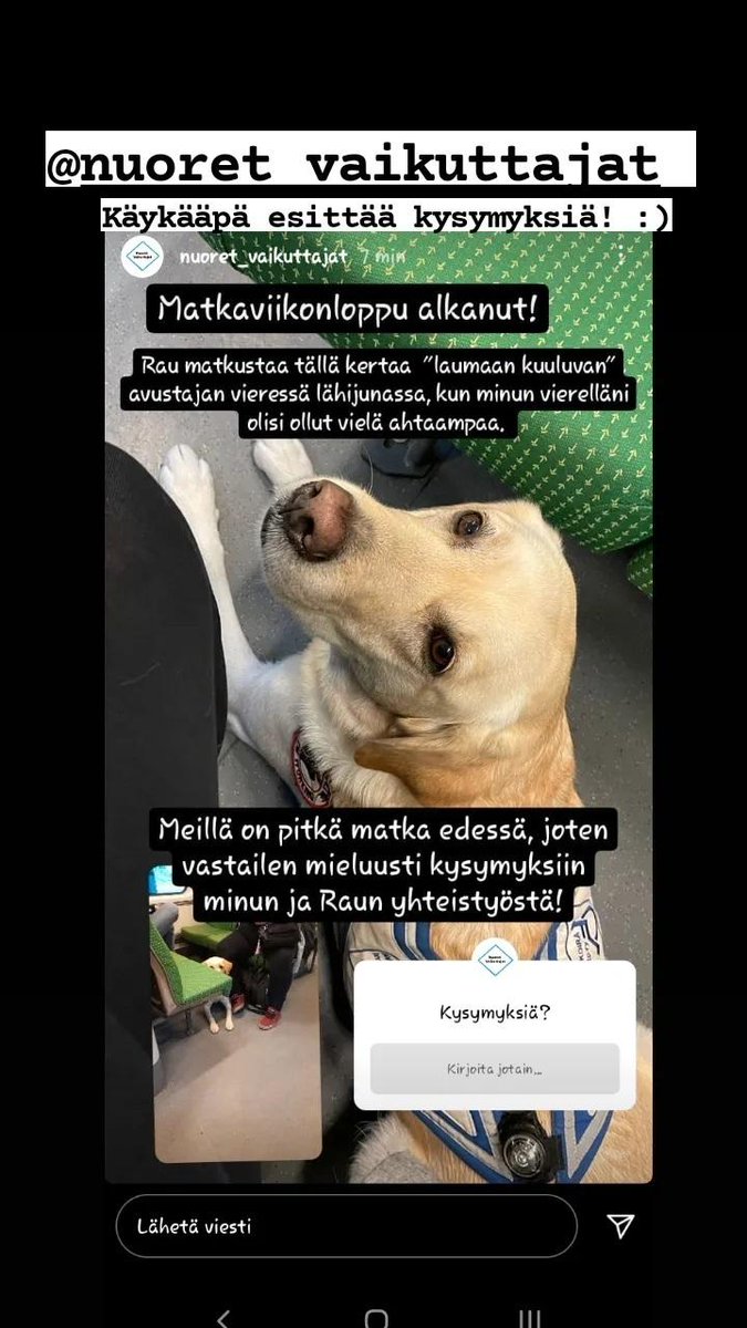 Onko sinulla kysymys, jota et ole päässyt kysymään koskien arkea #avustajakoira'n kanssa? Vastailen viikonlopun kysymyksiin minun ja Raun kumppanuudesta 🥰 IG: @ nuoret_vaikuttajat @Invalidiliitto #EläväApuväline #Koira #HenkilökohtainenApu #labradorinnoutaja #ElämääIstuen