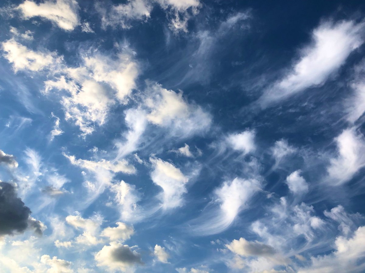 emma_nft's tweet photo. Today's cloud photoβοΈπ from Japan #mloart https://t.co/cTc09ojMI9