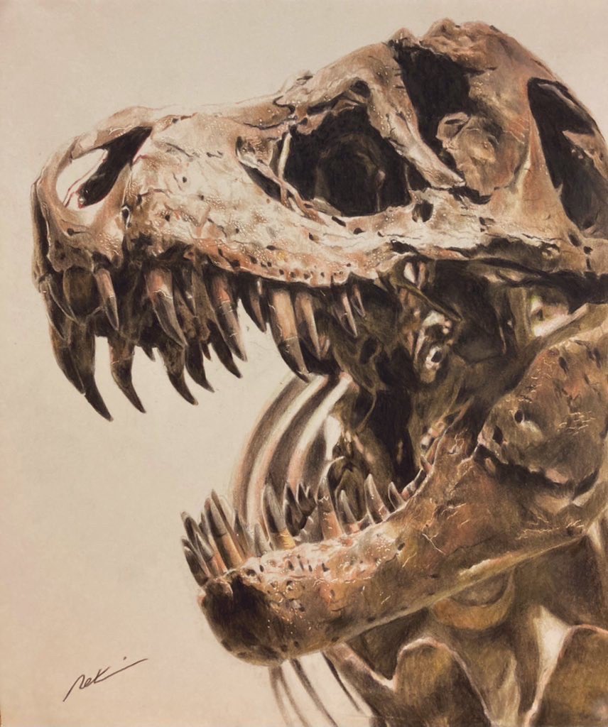 「色鉛筆でティラノサウルスの化石を描きました! 」|ヤマッピのイラスト