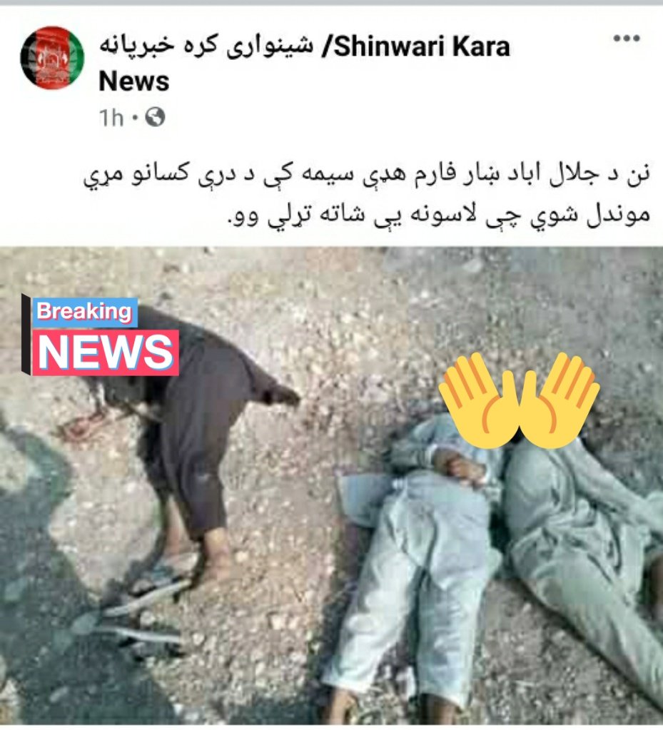 AfghanAnalyst2's tweet photo. Continuation of #target_killings in #Jalalabad...
"The dead bodies of 3 people, with their hands tied, were found in the Farm-e Hada area of Jalalabad City today morning," a local FB page reported.
In last one week, a dozen incidents of explosions&amp;shootings reported in Jalalabad. https://t.co/0FgQVrR22c