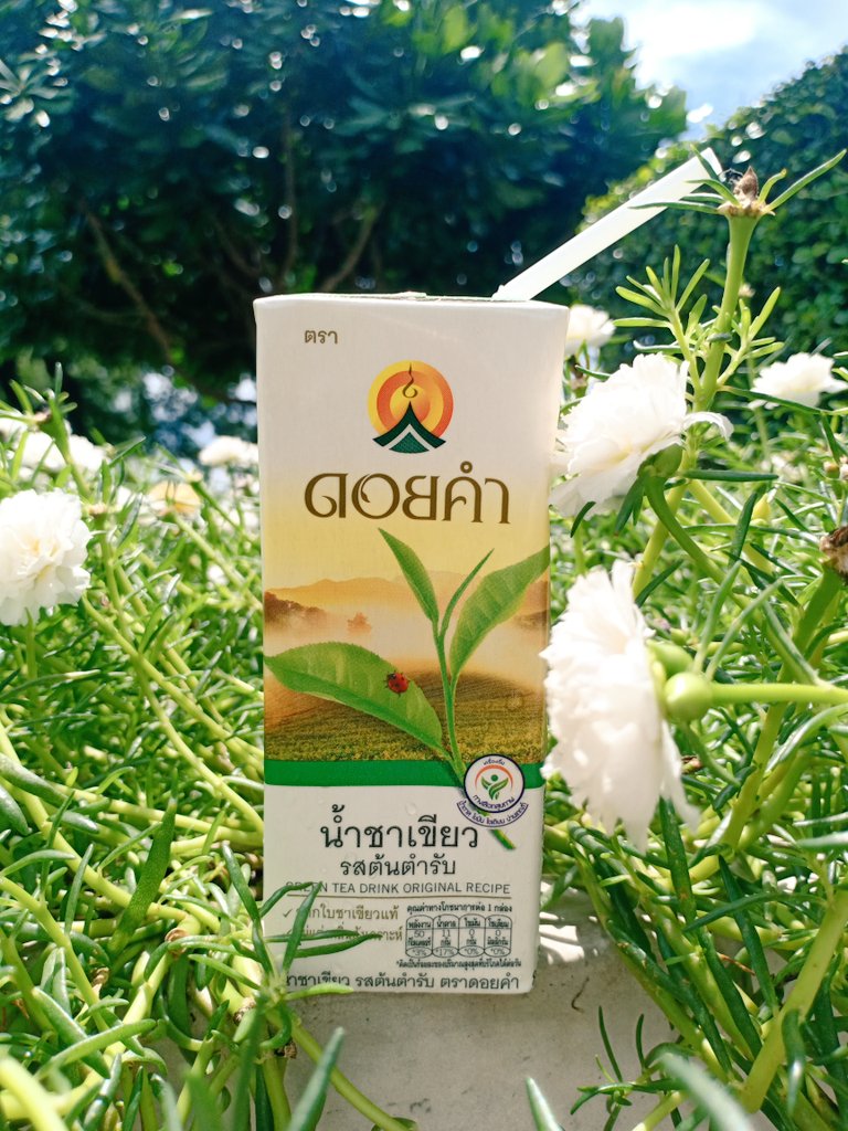 ชาเขียว   อีกแล้วฮะ