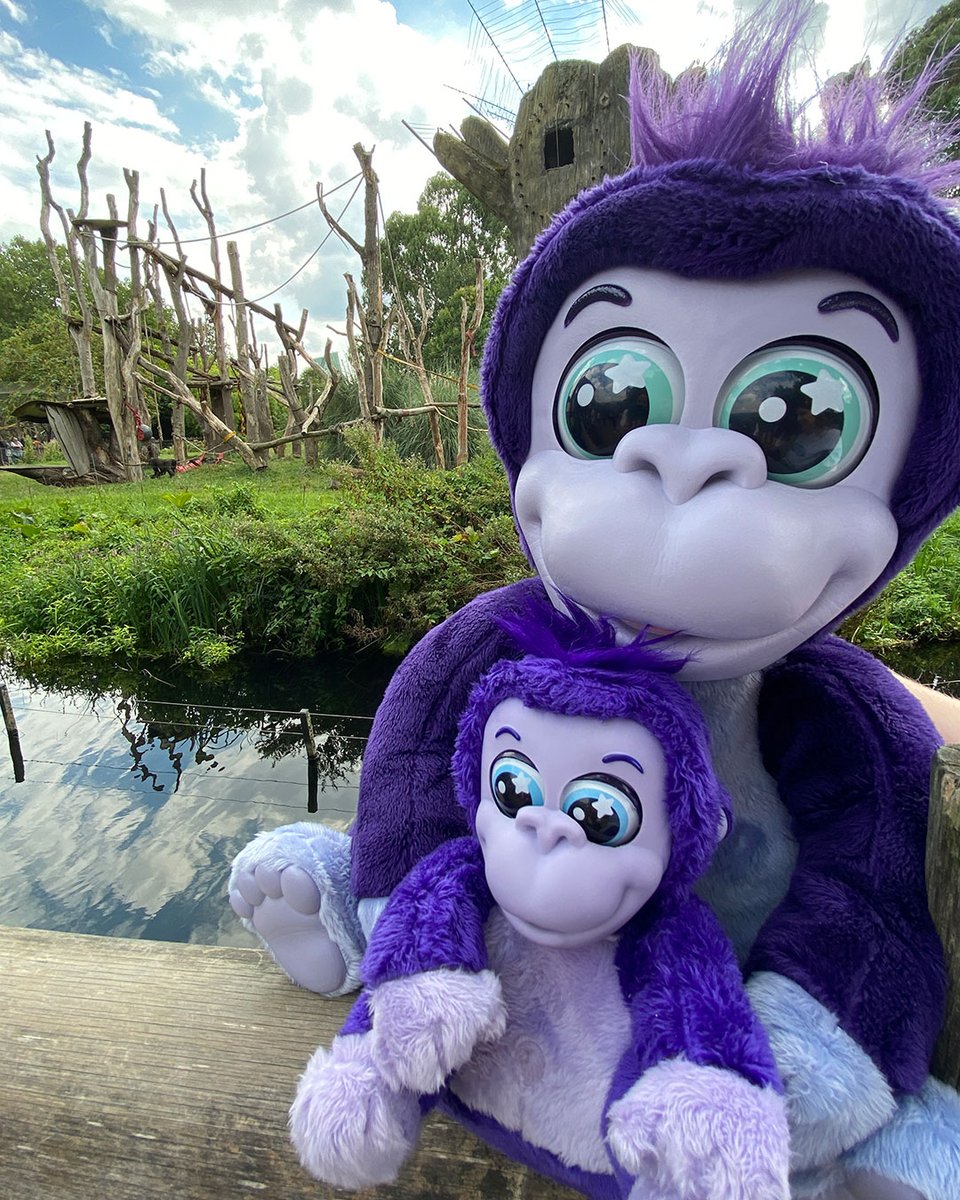 VividToyGroup's tweet photo. Tiki and Toko took a trip to the zoo to celebrate #WorldGorillaDay 🦍 Did you know that gorillas communicate emotions to others in the family group through body language and vocalizations?
#animagic #TikiandToko #interactiveplush #gorillatoys https://t.co/OzrODgl7eE