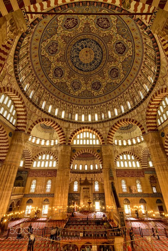 Naida | Inscendence tweet media