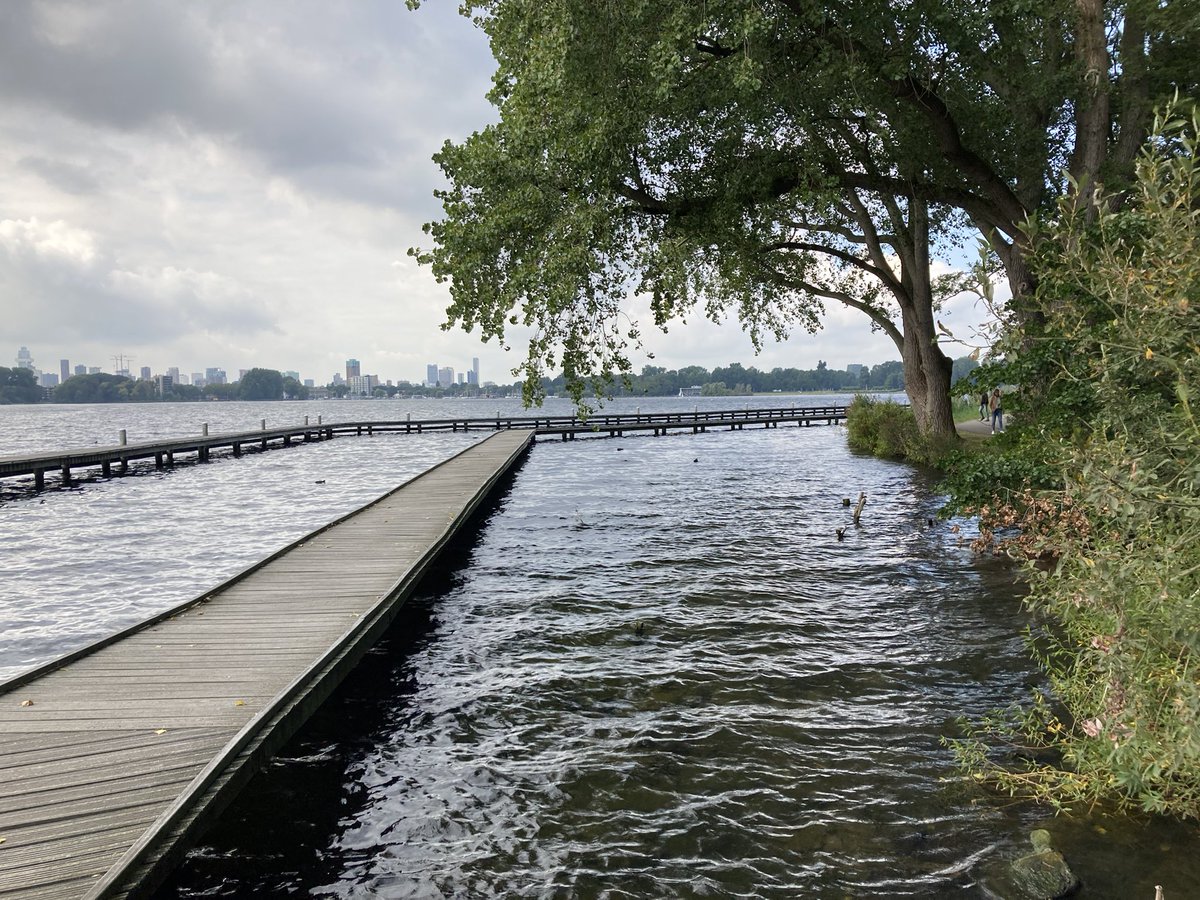 JanWill80178048's tweet photo. Advies BVC om te rooien terecht gezien de aantasting en locatie . Boom helde sterk over de loopsteigers van de Kralingse Plas. Gelukkig grote buurbomen om verlies enigszins te compenseren. @Stadsbeheer010 @UWbomen Bomenploeg snel actie ondernomen 👍👍 https://t.co/VlKet6XoyA