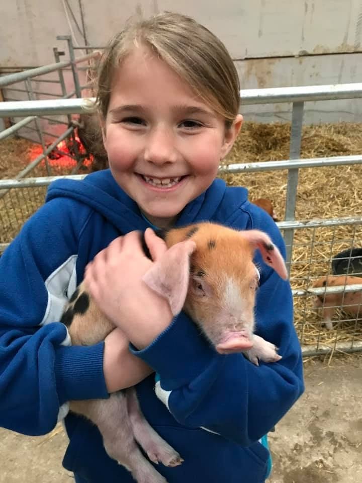 OxfordPig's tweet photo. #OSBPG PIG FACT
At birth, the body weight of a piglet is 82 percent water.
Photo Tracy Olney
#OSBPigFact, #Pigfact #fridaymorning #PigKnowledge #Pighealth @Pigs @pighealthuk @BictonHomeFarm #Pigfarming #Pignews #FactsMatter https://t.co/RLrl4CvEln