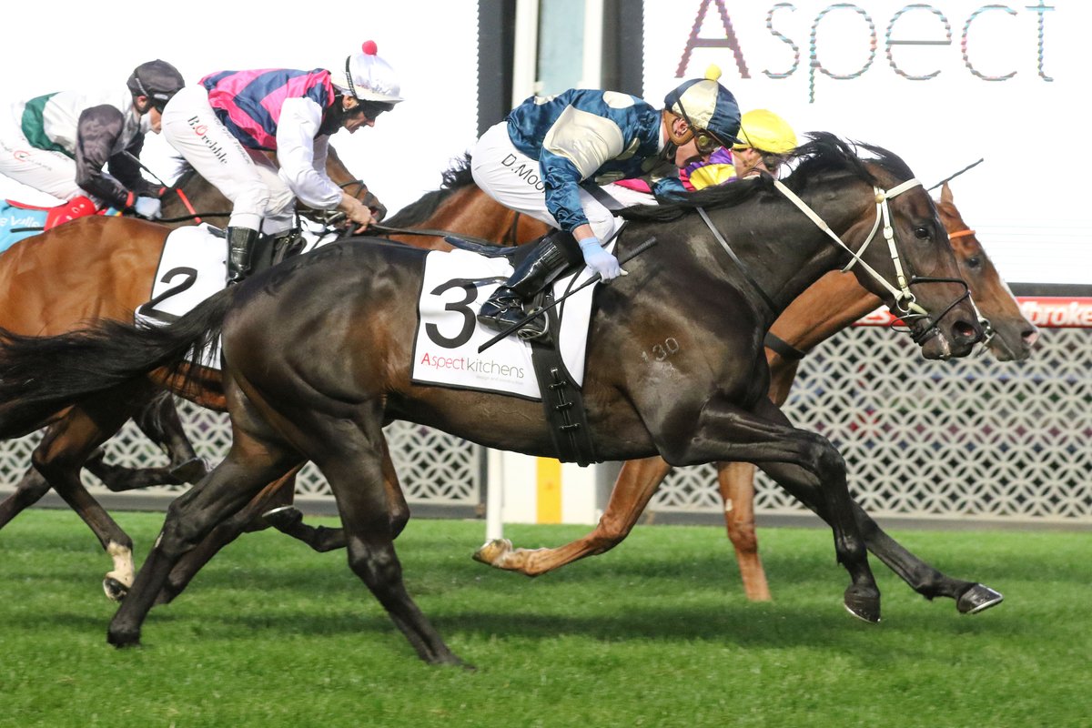 nzracingnews's tweet photo. NEWS: @busuttin #ForgotYou continued his great run of form powering home to claim the Gr.2 Stutt Stakes @TheValley on Friday night.
https://t.co/570xLrfdUn https://t.co/DUUh0i63E5