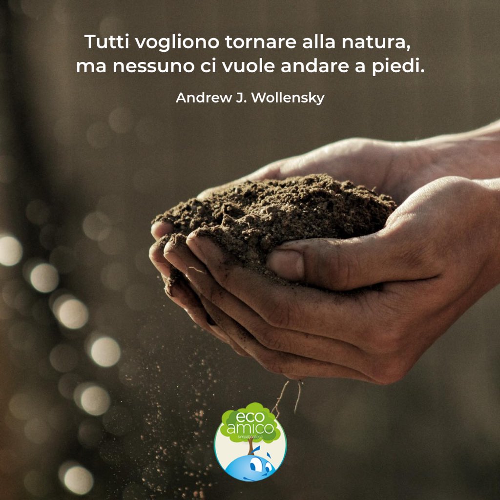 SimpaticoTech's tweet photo. 🌱 Piantiamola con le lamentele, coltiviamo #oggi il futuro. Insieme. 🍃
#ecoamico #simpaticotech #fridayforfuture #green #earth #sostenibilità #ecosostenibilità #greencompany #refurbished #rigenerato #ricondizionato https://t.co/Kp2h68bX6k