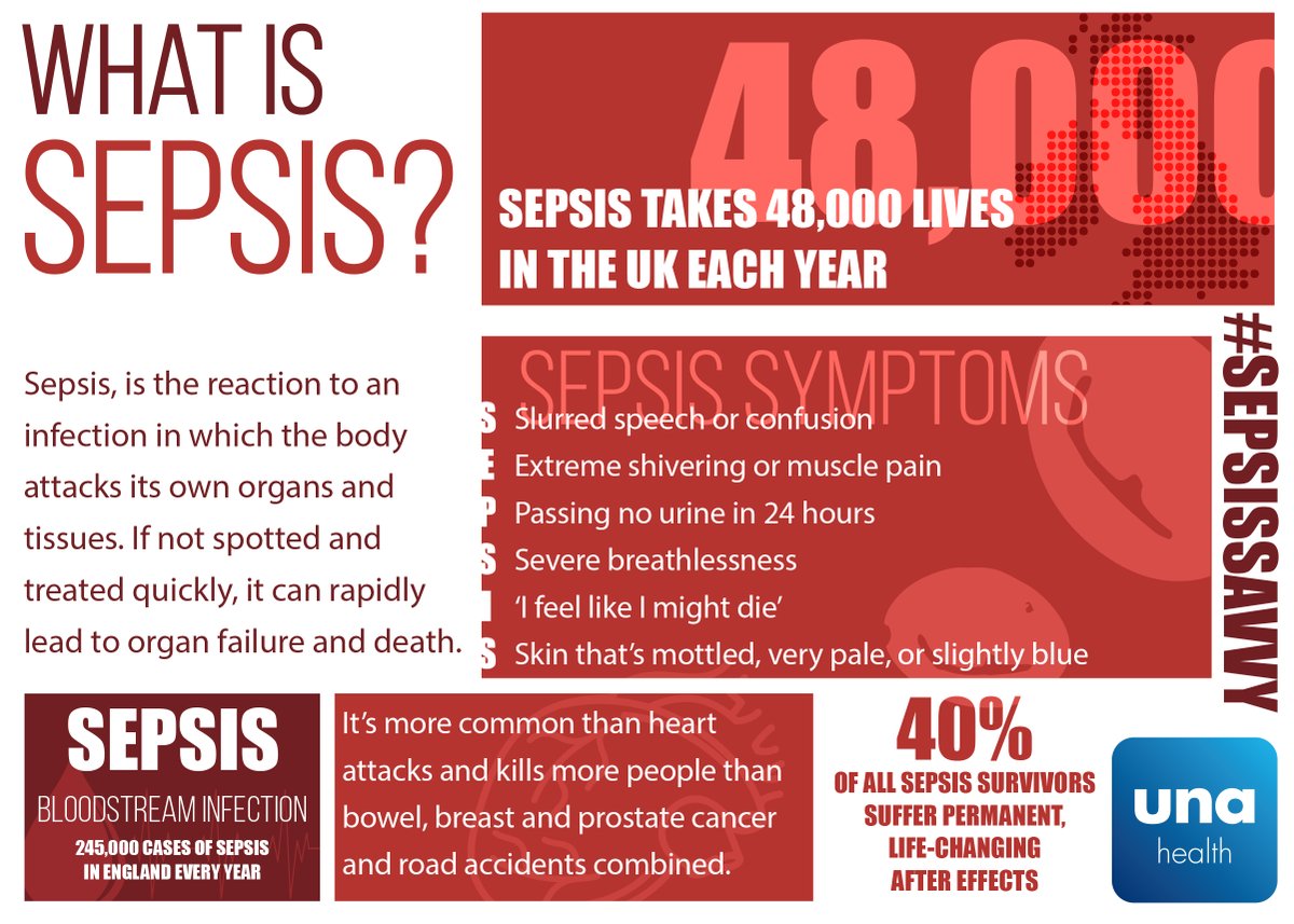 UnaHealth's tweet photo. This #SepsisAwarenessMonth , we encourage you to learn and discern the signs of #sepsis. Take the time to learn more: https://t.co/W1kLiWoMc5
#sepsissavvy #sepsisawarenessmonth #sepsisawareness #bloodstreaminfection #unahealth https://t.co/E3SKHN8QYt