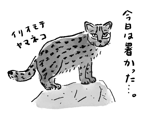 山と渓谷10月号の仕事より
#illustration #illustrator #art #drawing #painting #works 