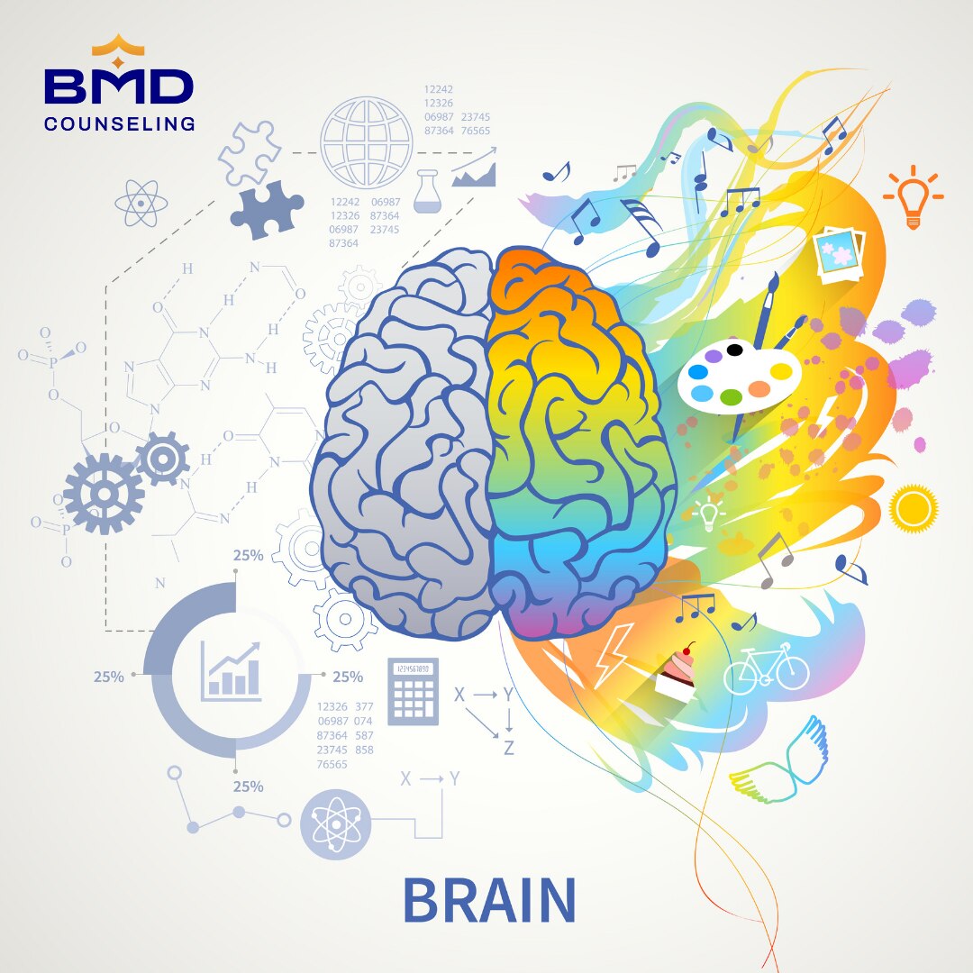 RajeshSalway's tweet photo. Left Brain &amp;amp; Right Brain Brain has two parts called the left and..For more info visit...https://t.co/hG7m3xEE4t https://t.co/jXyirhtvus
