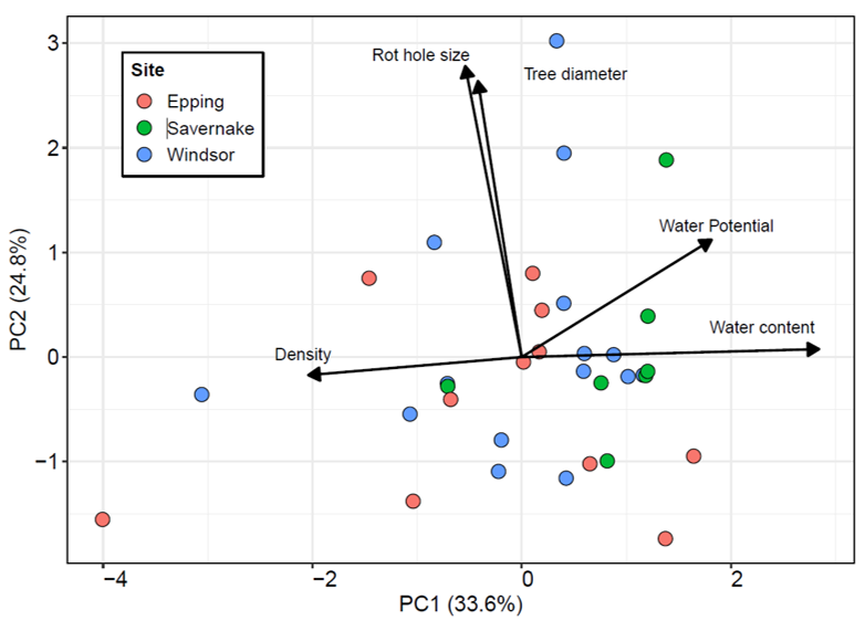 JordanCuff's tweet photo. Woohoo! Our new paper on the importance of rot-hole heterogeneity for invertebrate diversity is out now #OpenAccess in @EntsocAmerica Journal of Insect Science! 🪲🕷️🐛🌳

A pleasure as always working with @Fred_Windsor @ECGilmartin @FungusProf @THJ1961!

https://t.co/Ye8IKLrWxw https://t.co/M1ZVclPWbd